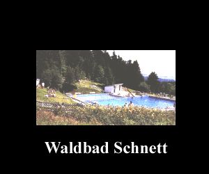 Waldbad Schnett